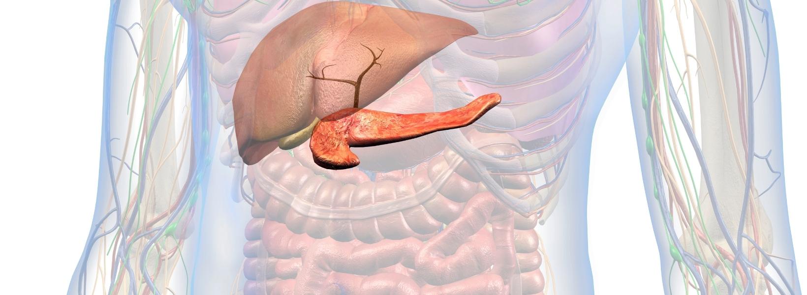 Pankreas Kanseri Görülme Sıklığı Nedir