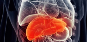 Karaciğer Abseleri Nedir ve Çeşitleri Nelerdir?