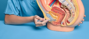 Wat kunt u verwachten na verwijdering van de galblaas? Wat kunt u verwachten na verwijdering van de galblaas?