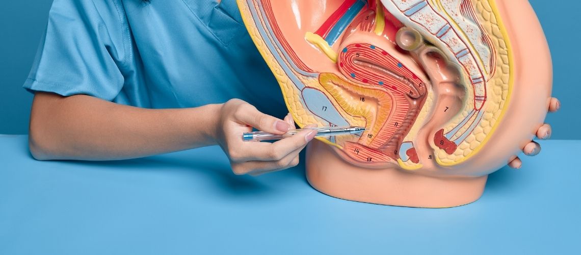 Wat kunt u verwachten na verwijdering van de galblaas? Wat kunt u verwachten na verwijdering van de galblaas?