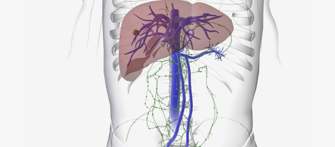 Lipase (LPS) Lipase (LPS)