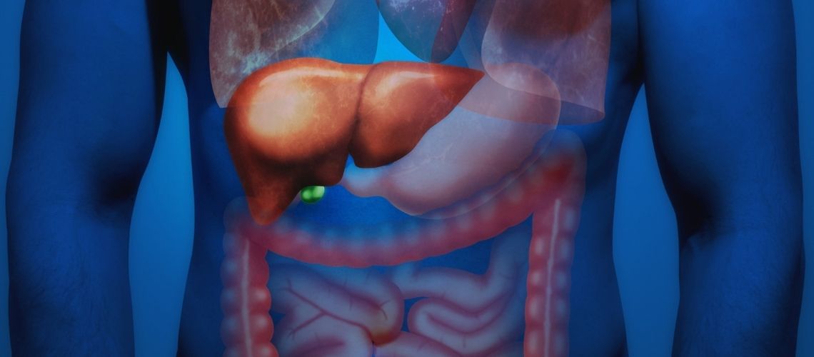 Fleck auf der Leber Fleck auf der Leber