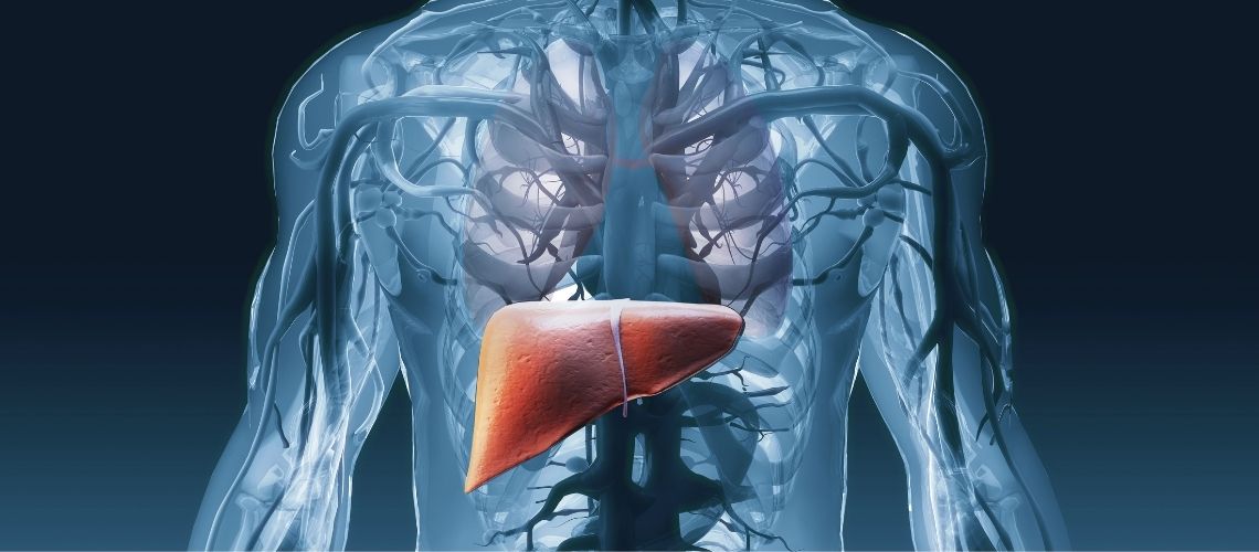 Waarom zijn leverenzymen verhoogd? Wat zijn de symptomen? Waarom zijn leverenzymen verhoogd? Wat zijn de symptomen?