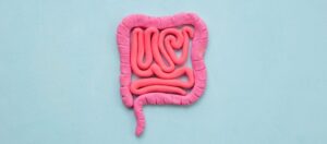 Bağırsak Nedir? Bağırsağın Görevleri Nelerdir? Bağırsak Nedir? Bağırsağın Görevleri Nelerdir?